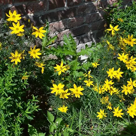 Lägenhet Ferienwohnung Suderfeld *