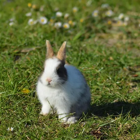 Lägenhet Ferienwohnung Suderfeld