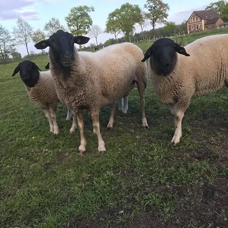 Ferienwohnung Suderfeld *