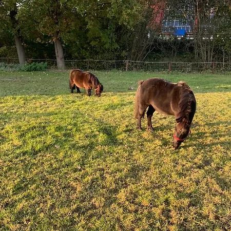 Lägenhet Ferienwohnung Suderfeld
