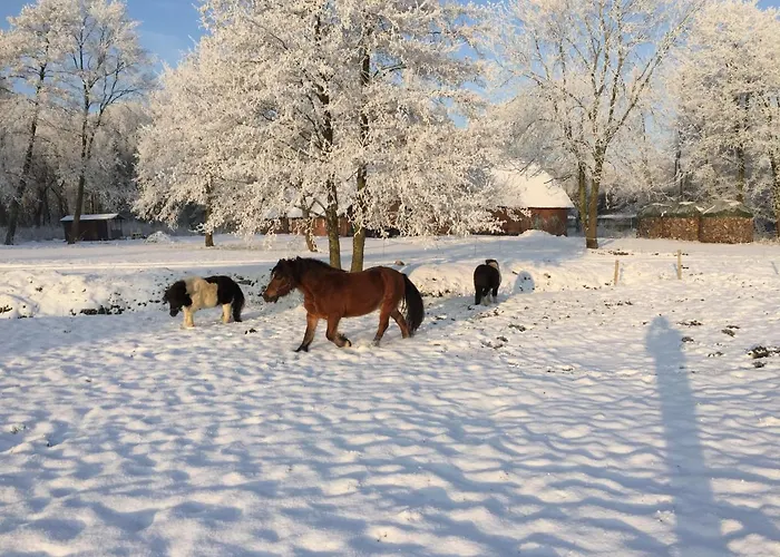 Ferienwohnung Suderfeld Appartement