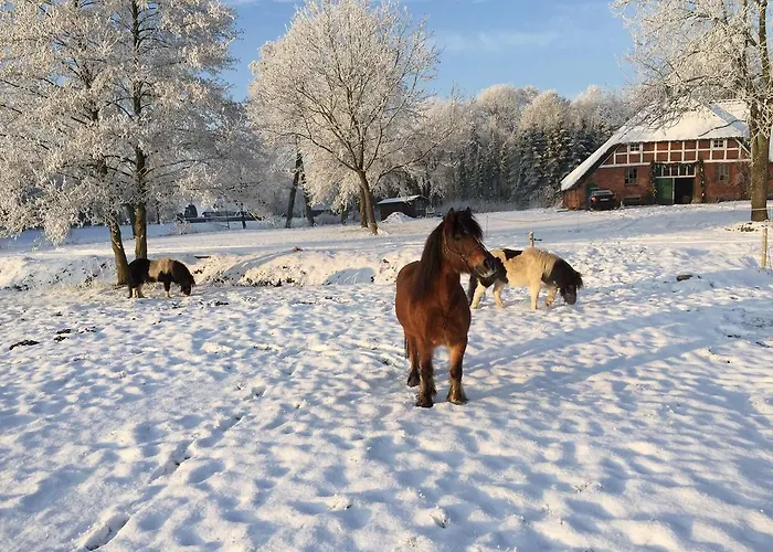 Ferienwohnung Suderfeld Appartement Brake (Wesermarsch)