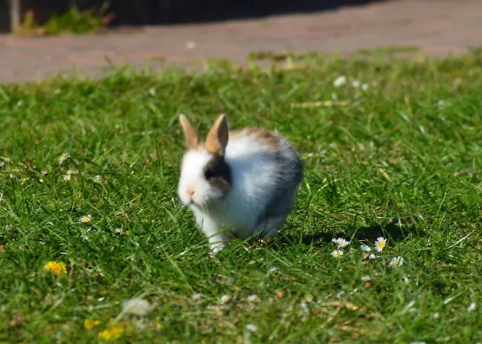 Ferienwohnung Suderfeld Brake (Wesermarsch)